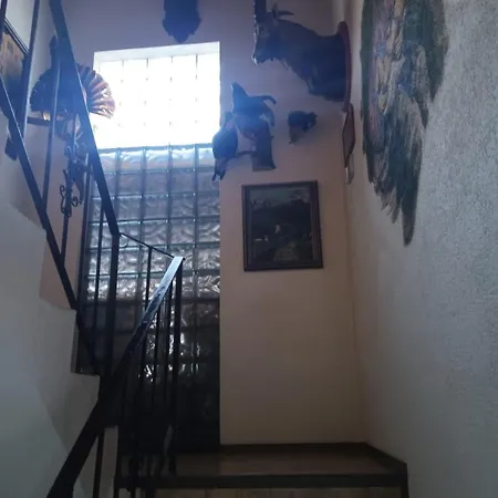 Apartment Berger Bettina